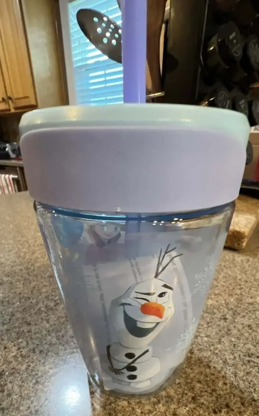 Silver Buffalo Disney Frozen Elsa Anna Olaf 17.5oz Spill Proof Tumbler with Stra